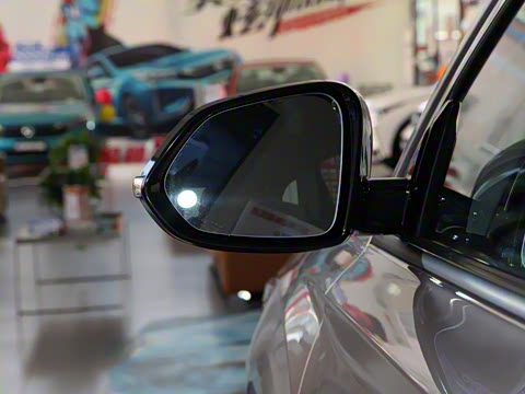 2021�� PRO 1.6T �Զ����ܰ�