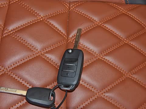 2018�� 1.5L �ֶ�������