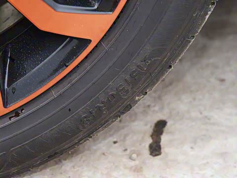 2019�� 280TSI DSG���������� ��VI