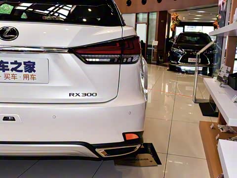 2020�� 300 �������ʰ� ��VI