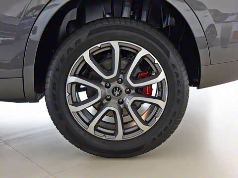 2019�� 3.0T ������ ��VI