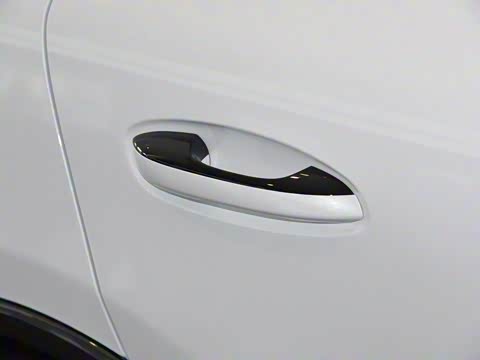 2020�� PHEV�˶���