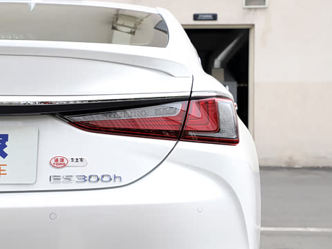 2020�� 300h ������