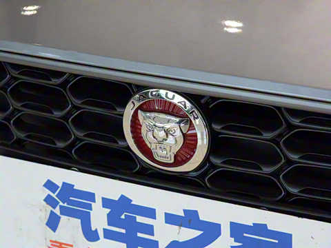 2021�� P300 ����First EditionӲ����