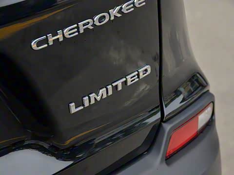 2019�� 2.0T ����ר���� ��VI