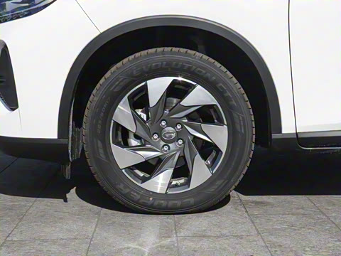 2021�� 270T �Զ�����������