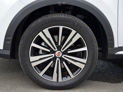 2020�� 20T �Զ�Ali��������Խ�����