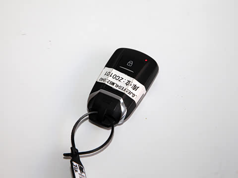 2021�� PRO 1.6T �Զ����ܰ�