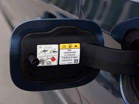 2020�� 3.0T V6 ������ͳ��