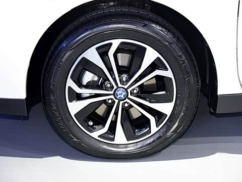 2019�� ������������