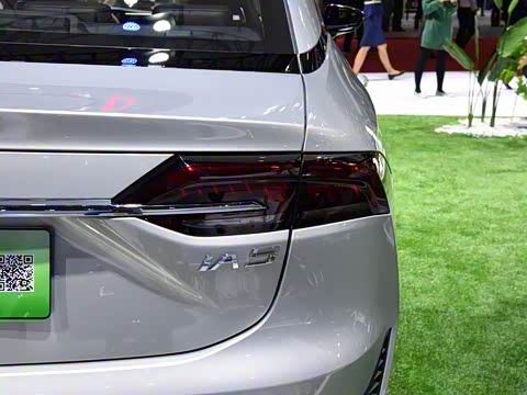 2019�� ������