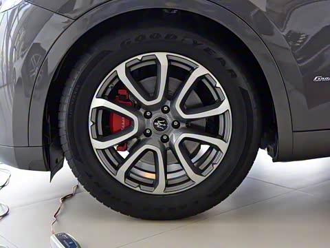 2019�� 3.0T ������ ��VI