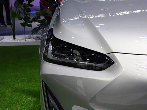 2019�� ������