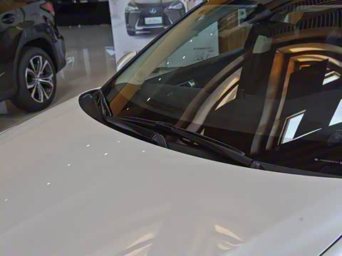 2017�� CT200h ���ʰ� ��ɫ ��VI