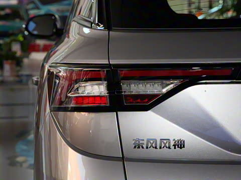 2021�� PRO 1.6T �Զ����ܰ�