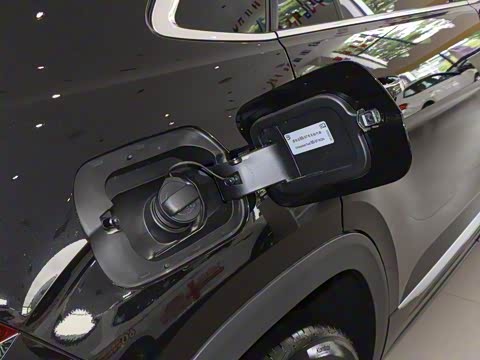 2020�� ;��X 330TSI ������������