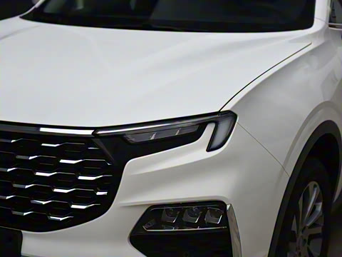 2021�� EcoBoost 225 ������ 6��