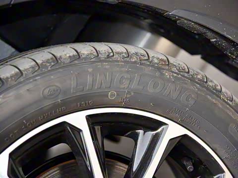 2019�� �Ŀ� 1.6L �ֶ������� ��V