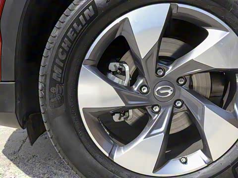 2020�� GS8S 390T ��������������