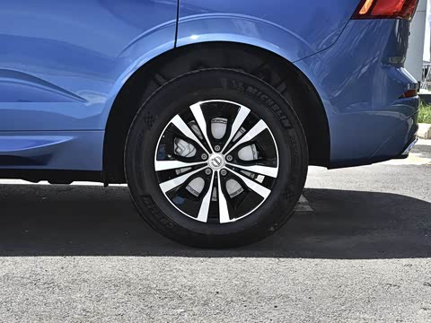 2021�� T5 ���������˶���