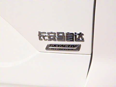 2020�� 2.0L �Զ������ǻ���