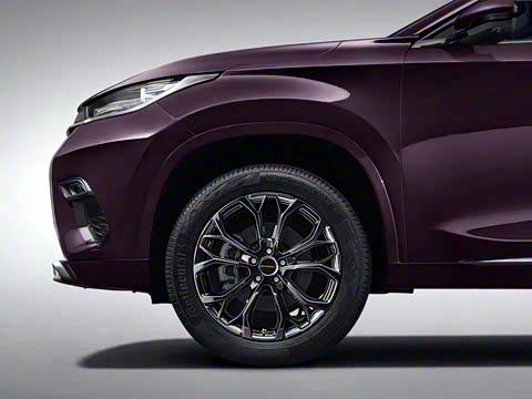 2019�� 1.6T �������װ�