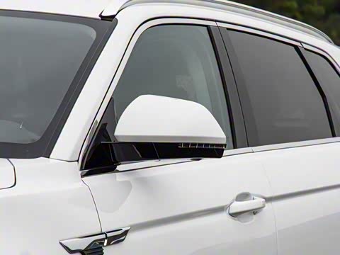 2019�� 2.0T �Զ��콢��