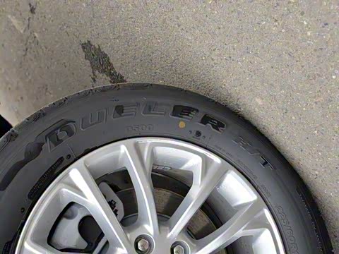 2019�� 2.0T ����ר���� ��VI