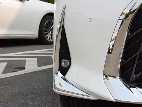 2020�� 300h ����������