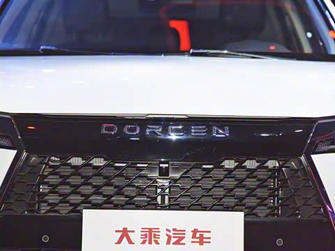 2019�� 2.0T �Զ��콢��