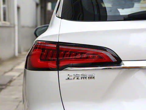 2021�� Supremeϵ�� 300TGI �Զ��������հ�