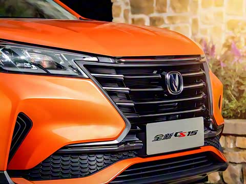 2019�� 1.5L �Զ��콢�� ��V