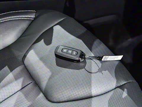 2019�� EcoBoost 145 CVT������PLUS ��V