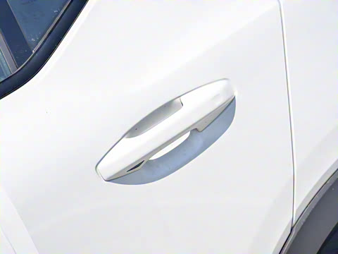 2021�� T4 ������Զ�˶���