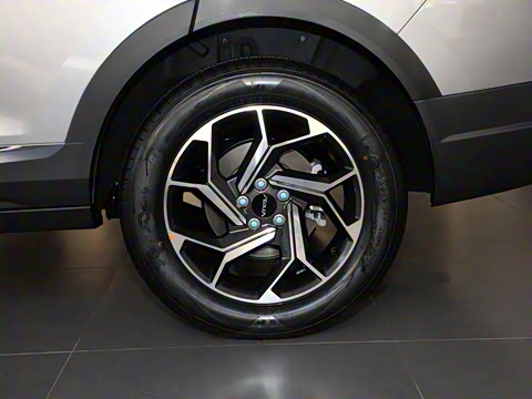 2021�� PRO 1.6T �Զ����ܰ�