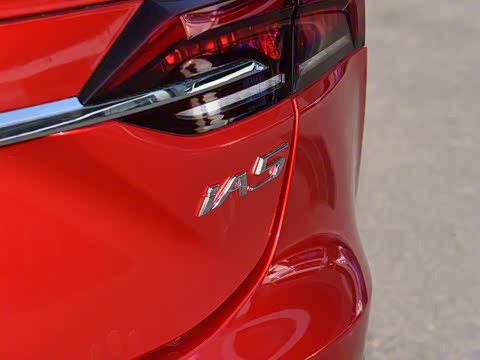 2019�� ����