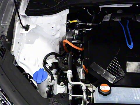 2020�� TOP������