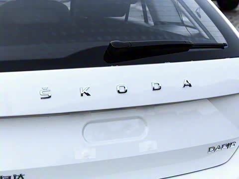 2019�� 1.5L �Զ���׼��