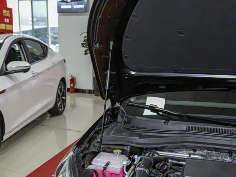 2021�� 1.5T �ֶ�������