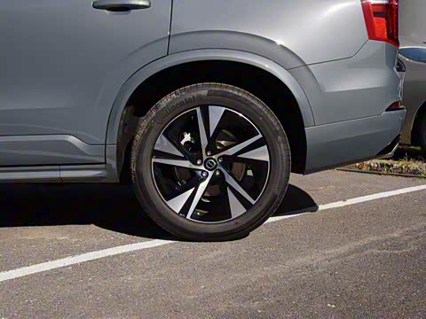 2020�� T6 �����˶��� 7��