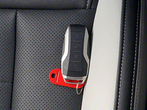 2020�� PHEV�˶���