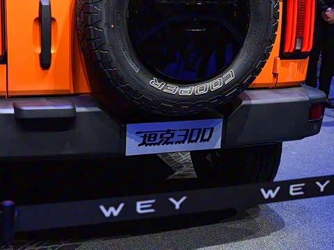 2021�� ԽҰ�� 2.0T ������