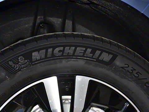 2021�� T5 ���������˶���