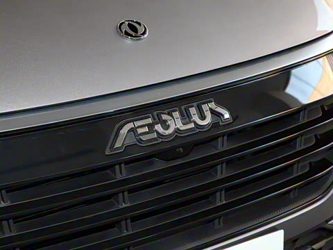 2021�� PRO 1.6T �Զ����ܰ�