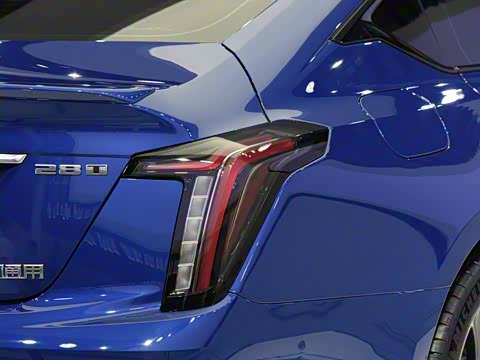 2020�� 28T �����˶���