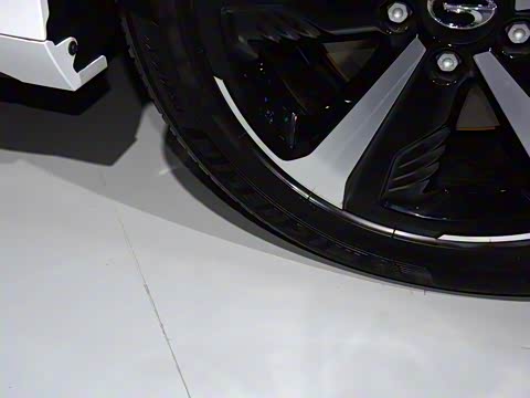 2019�� ���Ȱ�