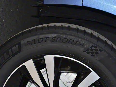 2021�� T5 ���������˶���