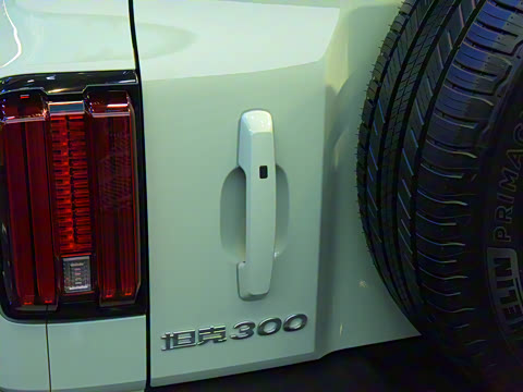 2021�� ���а� 2.0T ������