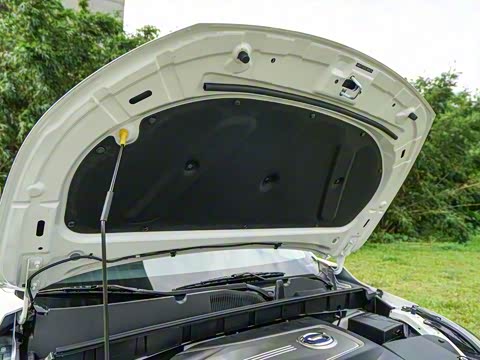 2017�� 310 ������