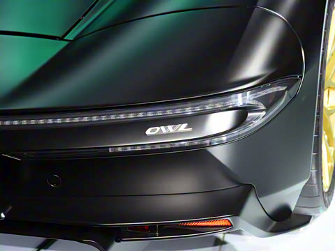 2021�� ��ɫ�ƹ��